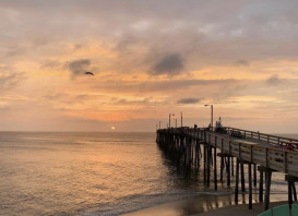 Great day for fishing on the Pier (just like every day, really)