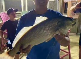 25″ Puppy Drum caught early this morning