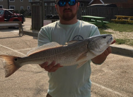 Nice Red Drum !!