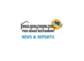 Nags Head Pier Report