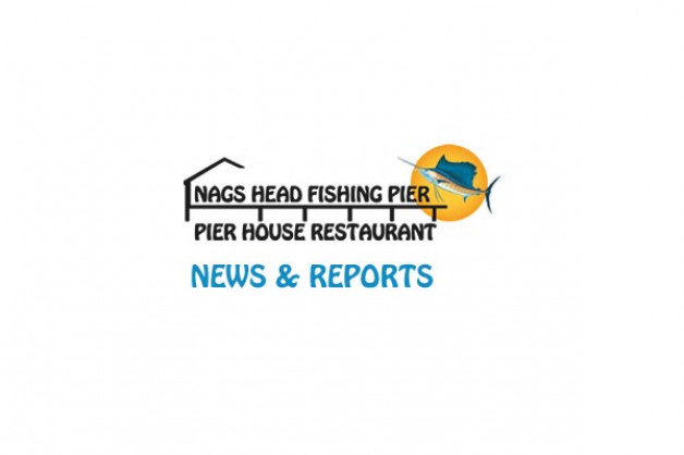 Nags Head Pier Report